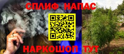 прущие грибы Конаково