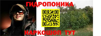 прущие грибы Конаково