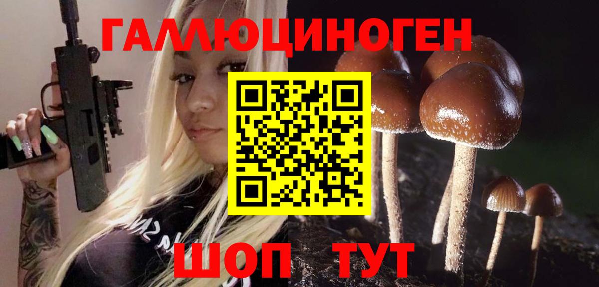 Коряжма  Галлюциногенные грибы мухоморы  Вход с VPN 